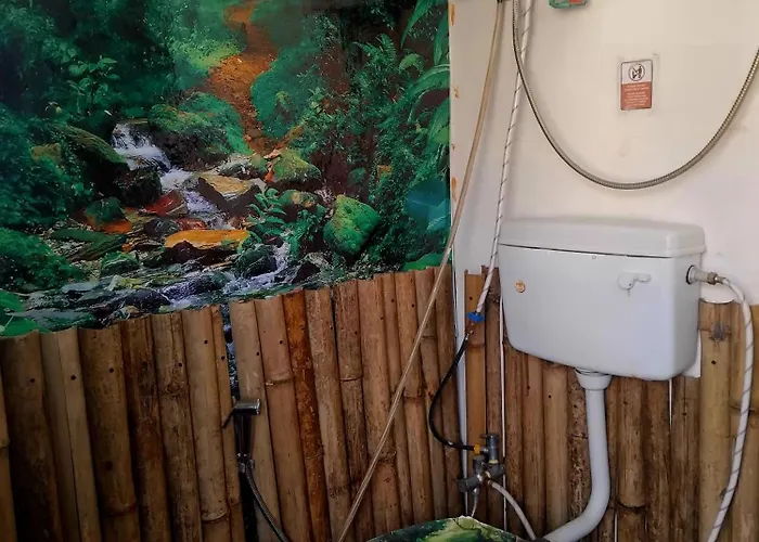Mystic Vibes Fitness -modern Yogi Commune Campsite